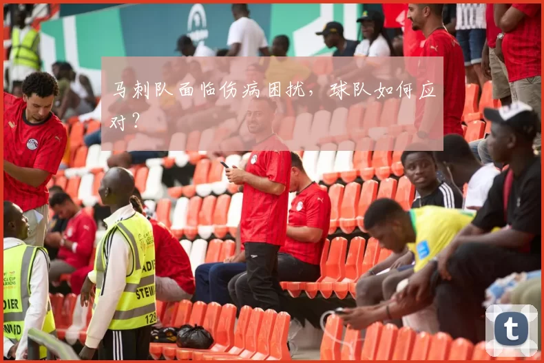 马刺队面临伤病困扰，球队如何应对？