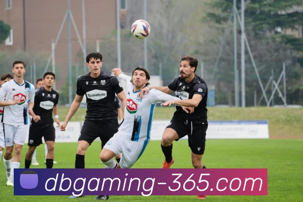 DB电竞365平台生态图